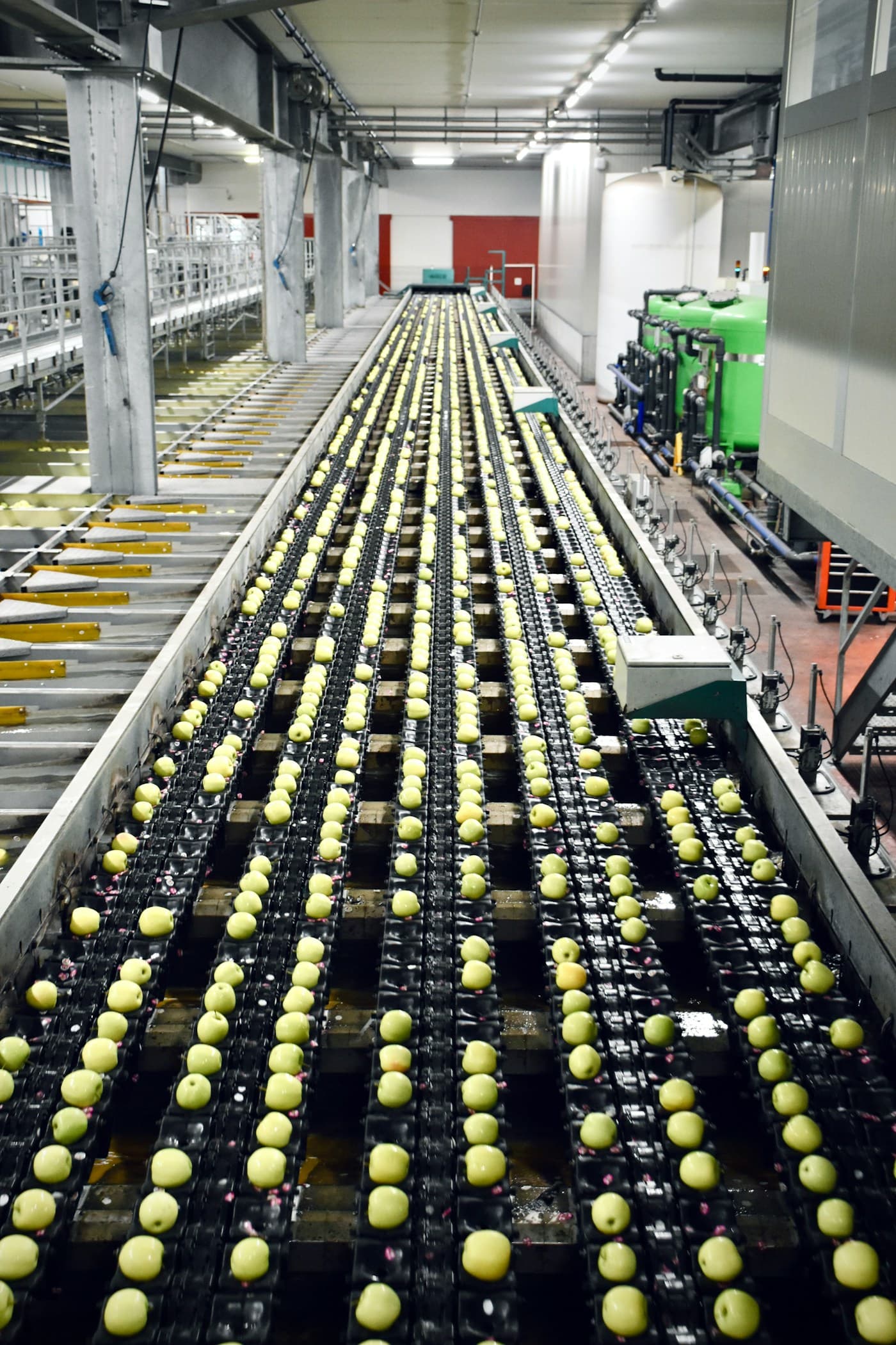 PepsiCo — Extindere fabrică procesare alimente (Lay's)